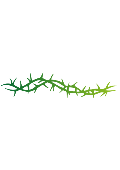 Spine clipart