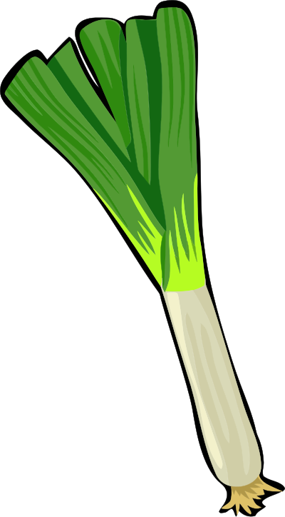 Spring Onion clipart