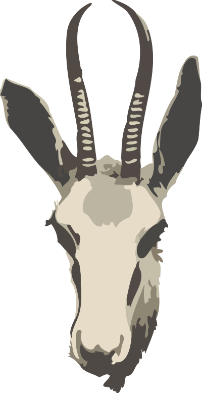 Springbok ewe's head (simplified) clipart