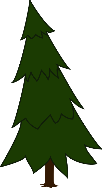 Spruce clipart