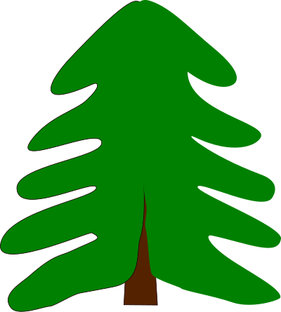 Spruce clipart