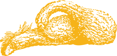 Sqaush clipart