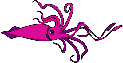 Squid clipart