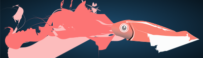 Squid clipart