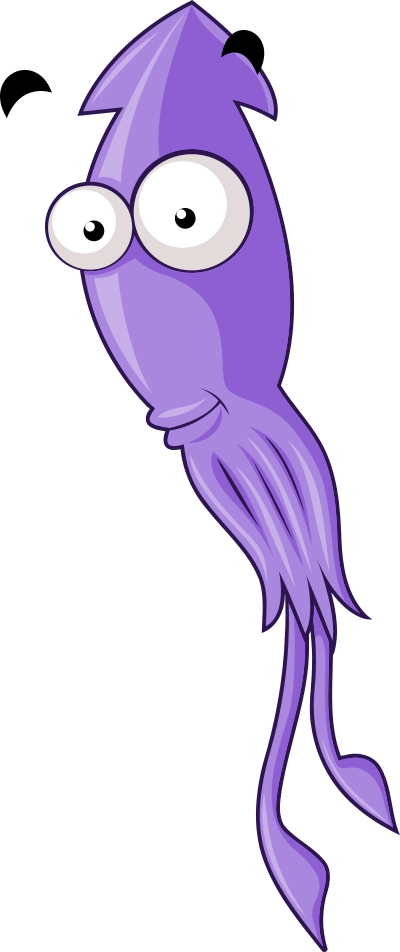 Squid - Isolated clipart