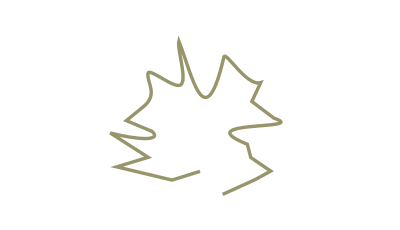 Squiggly #17 clipart