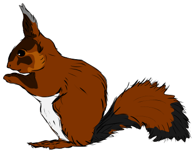 Squirrel clipart