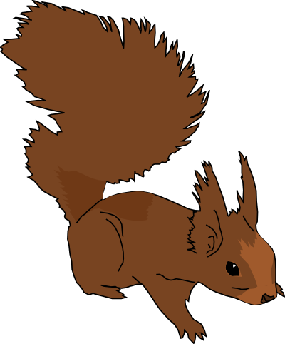 Squirrel clipart