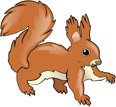 Squirrel clipart