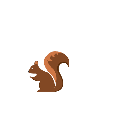 Squirrel clipart