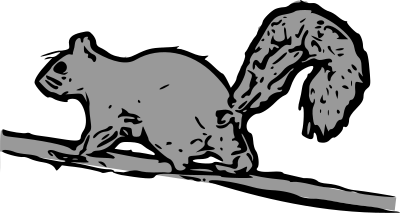 Squirrel clipart