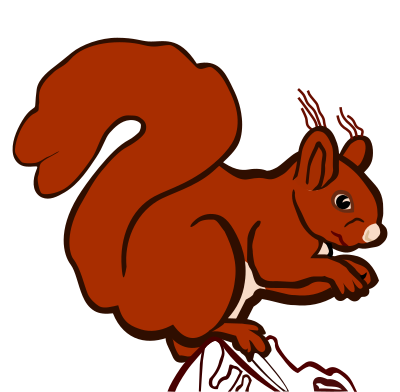 Squirrel - coloured clipart