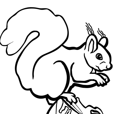 Squirrel - lineart clipart