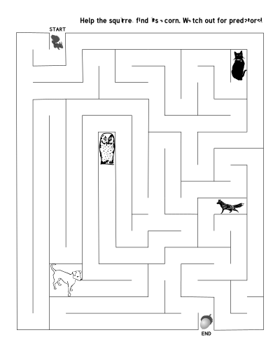 Squirrel Maze clipart