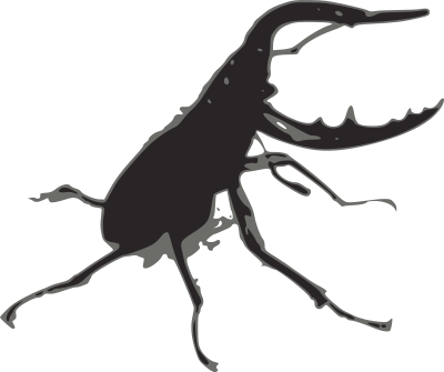 Stag beetle clipart