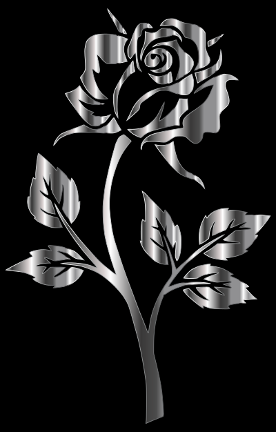 Stainless Steel Rose Silhouette clipart