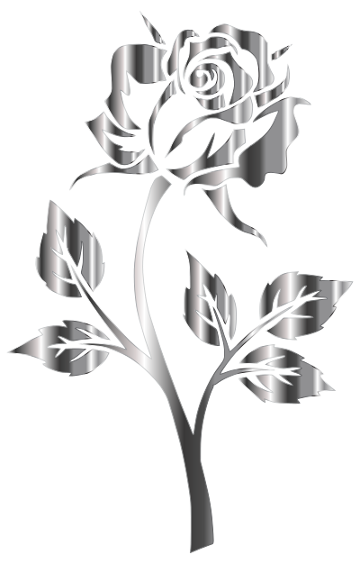 Stainless Steel Rose Silhouette No Background clipart