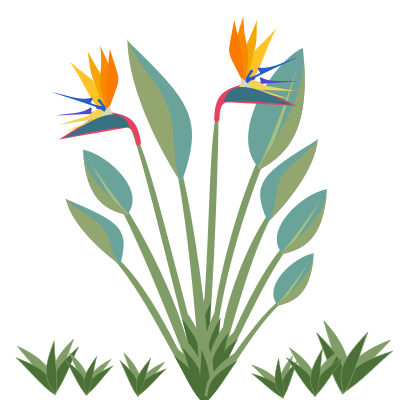 Strelitzia clipart