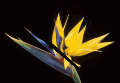 Strelizia-01 clipart
