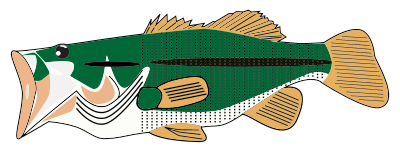 Stylized Bass clipart