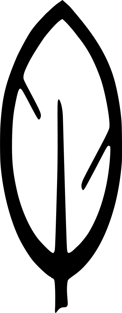 Stylized Feather clipart