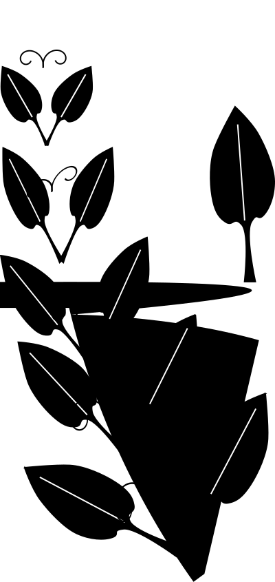 Stylized Vine clipart