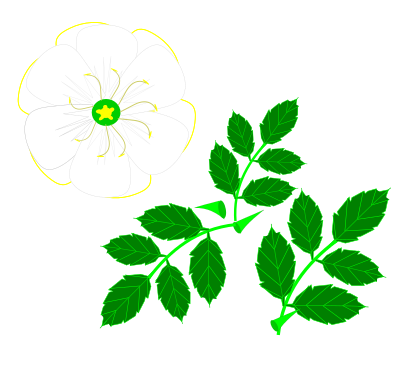 Stylized Wild Rose clipart