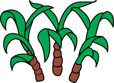 Sugar cane clipart