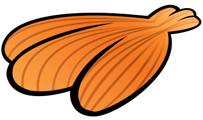 Summer Seashell clipart