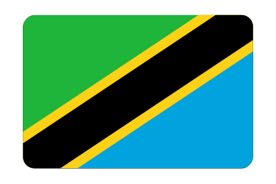 Tanzania flag (bevelled) clipart