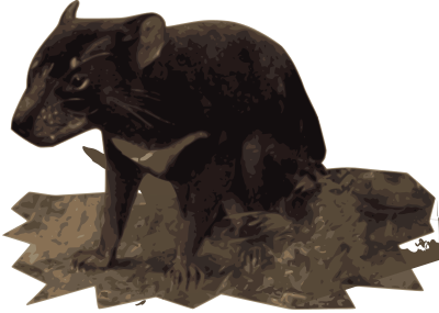 Tasmanian Devil clipart