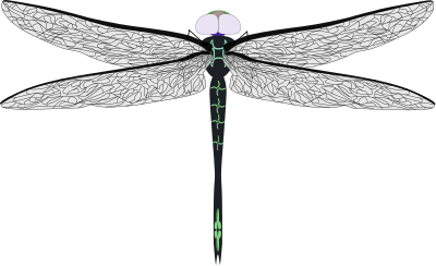 Teal dragonfly clipart