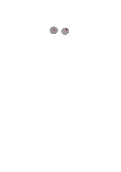 Teddy clipart