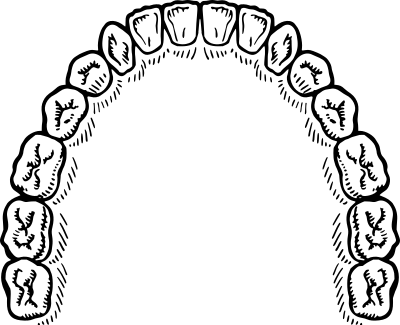 Teeth clipart