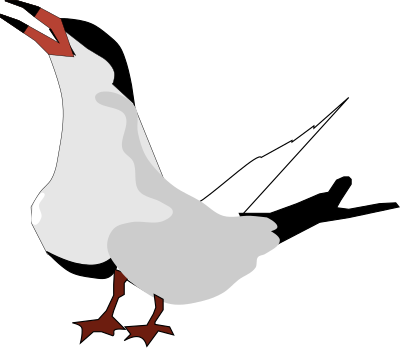 Tern Crying clipart