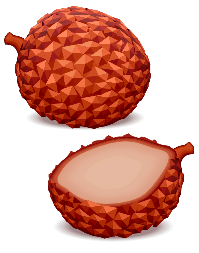 Tropical fruit clipart