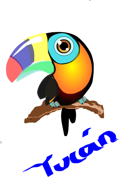Tucan colombiano clipart