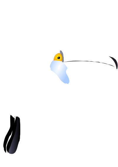 Tucano clipart