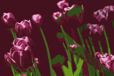 Tulip 02 clipart
