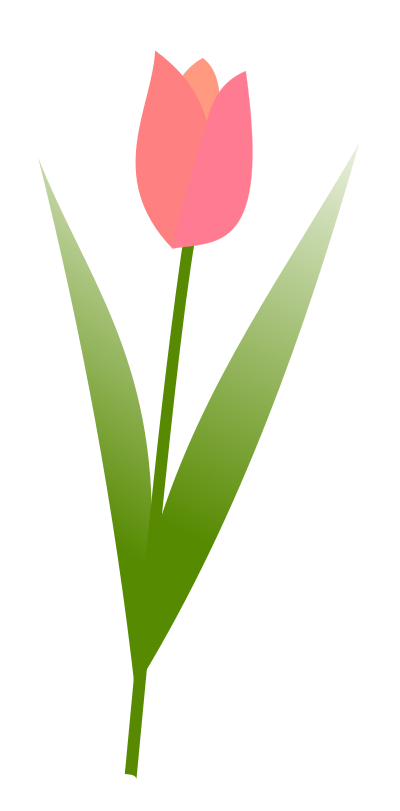 Tulip clipart