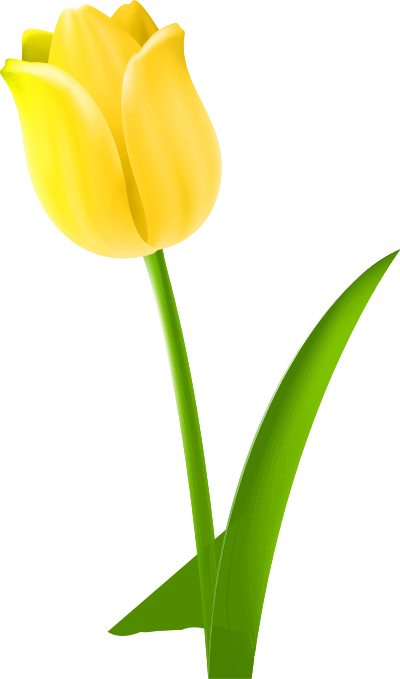 Tulip 5 (colour 3) clipart