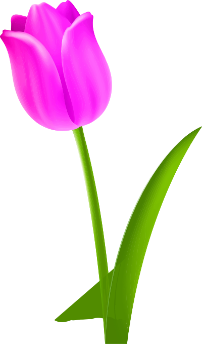 Tulip 5 (colour 4) clipart