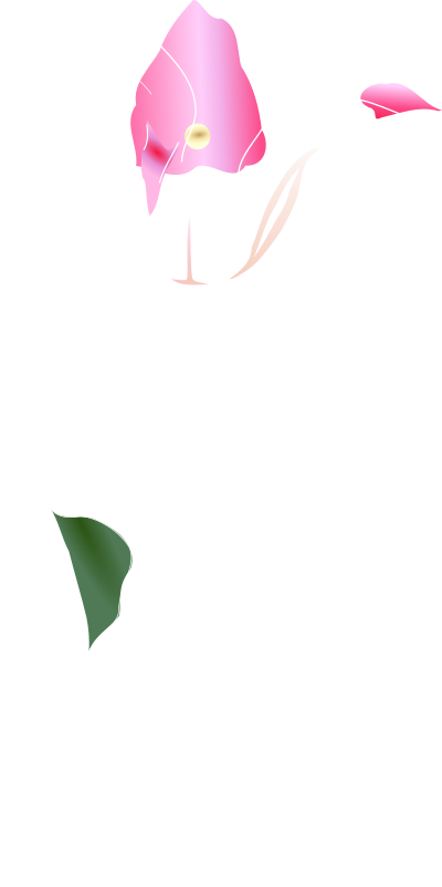 Tulip clipart