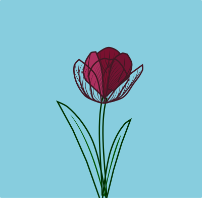 Tulip flower clipart