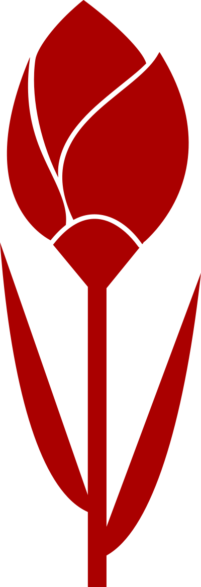 Tulip vectorized clipart