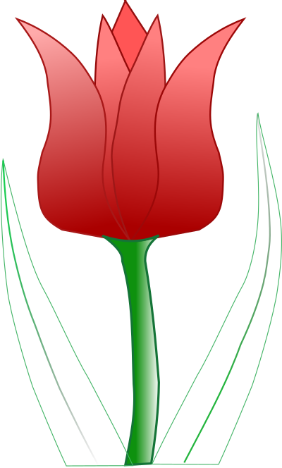 Tulipa clipart