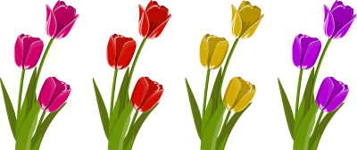 Tulips clipart