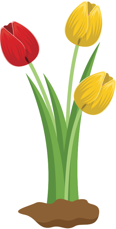 Tulips clipart