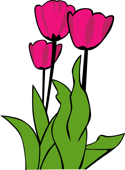 Tulips clipart
