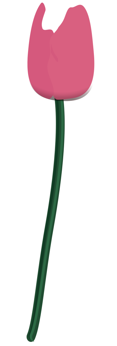 Tulpe tultip clipart